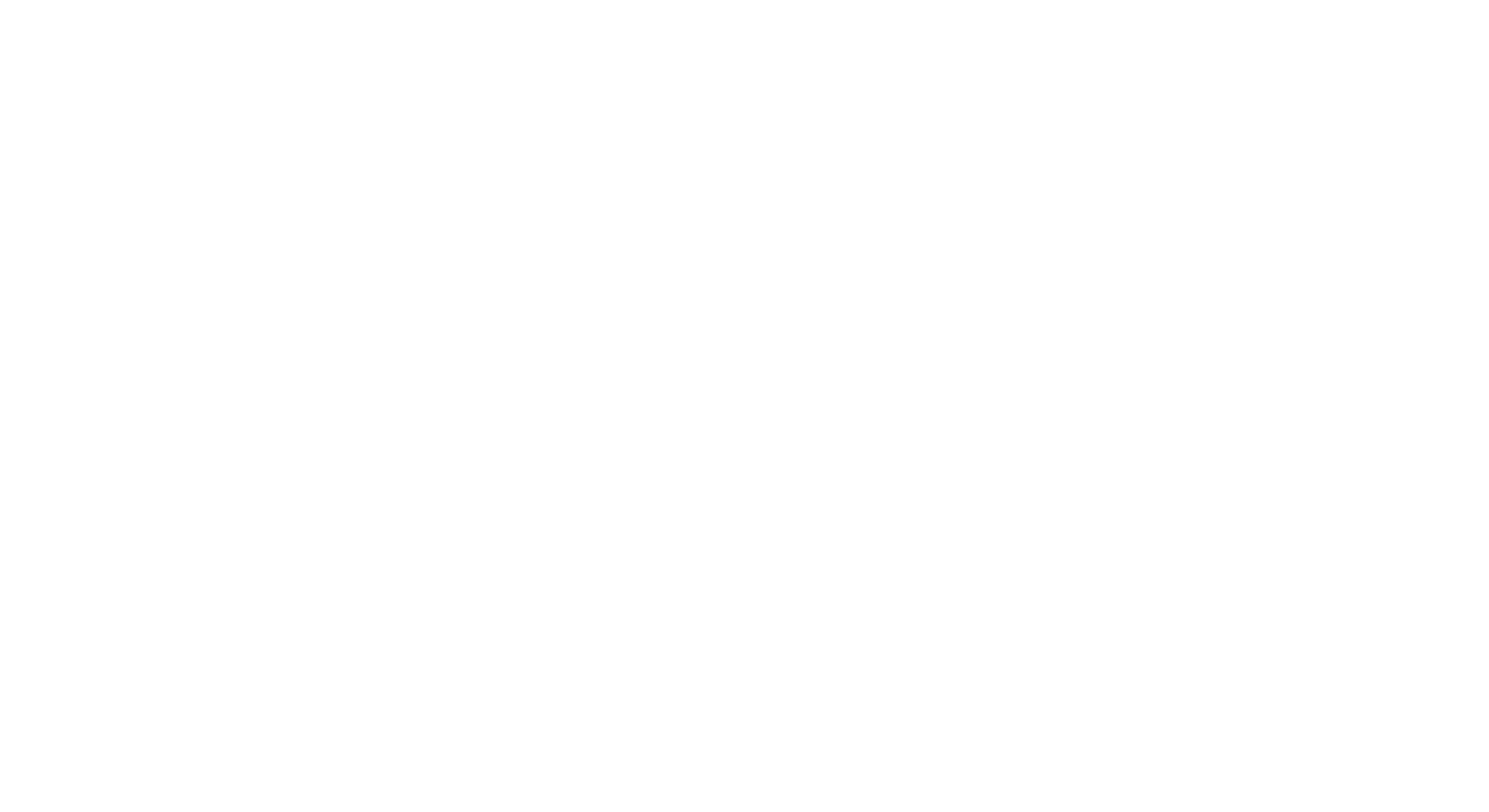 sensopro_logo_weiss